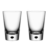 Orrefors - Metropol tumbler 23cl Black (2-pack)