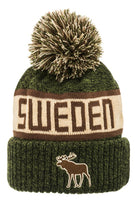 Robin Ruth - Winter Cap Green & Brown Sweden Hat With Moose & Tassel